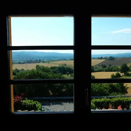 Angelinas Monte San Savino